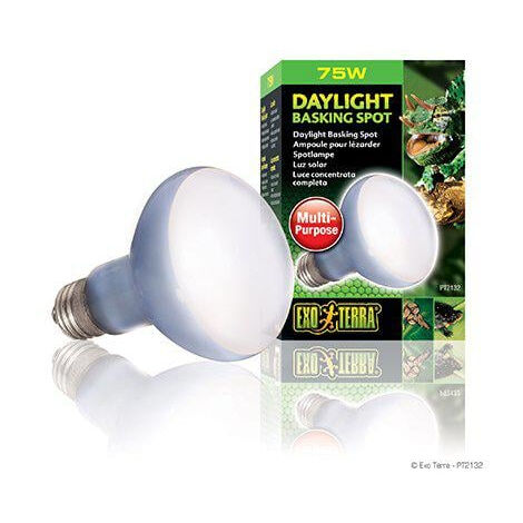 Exo lampe daylight a vis 50w
