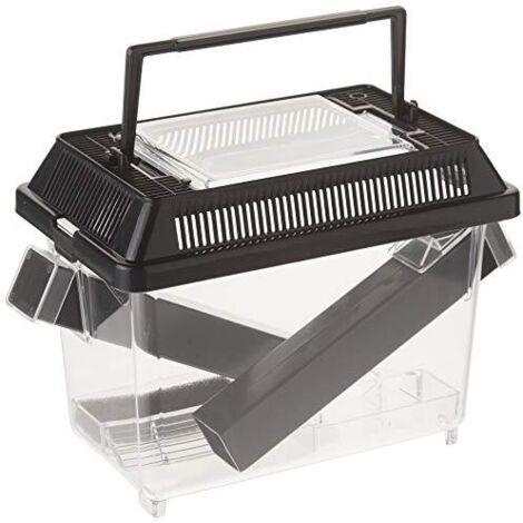Exo Terra PT2285 Cricket Box con 2 Tubi + 1 Spugna