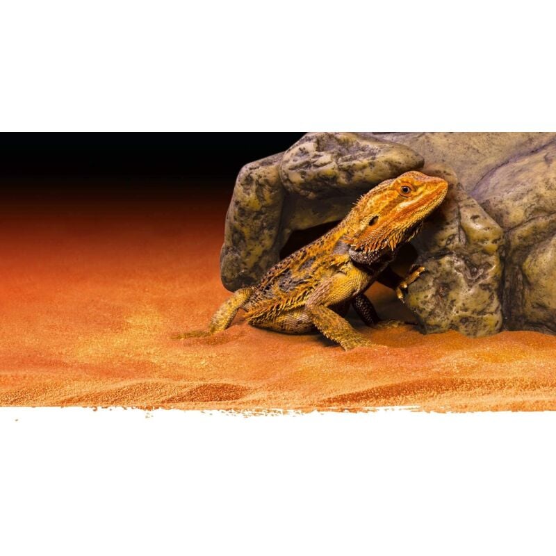 Exoterra reptile cave cachette naturelle pour reptile/amphibien taille m