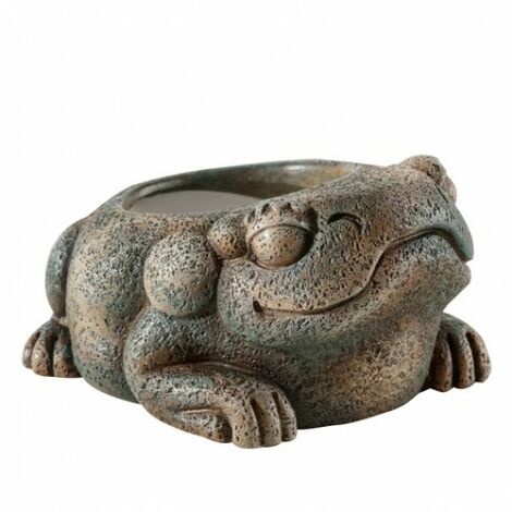 EXO Terra Trinker Azteca Frosch