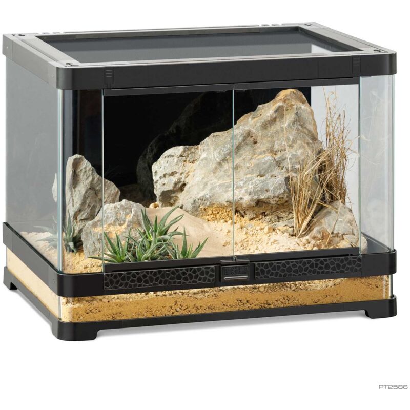 Exo Terra Vista 60 - Terrarium panoramique 60x45x45cm