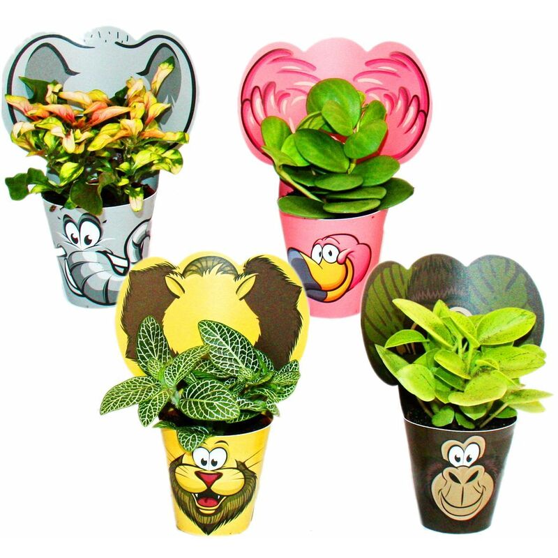 Ensemble de plantes d'intérieur amusantes Animaux - 4 plantes avec des animaux - idéal comme cadeau pour les anniversaires d'enfants - Exotenherz