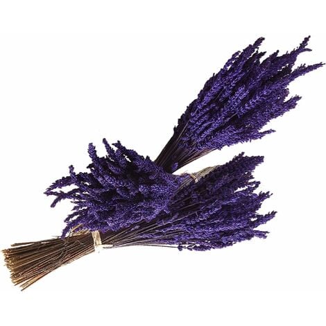 Experience, Lot de 3 bouquets de fleurs naturelles de lavande préservées de culture écologique, de fabrication artisanale et de première qualité.