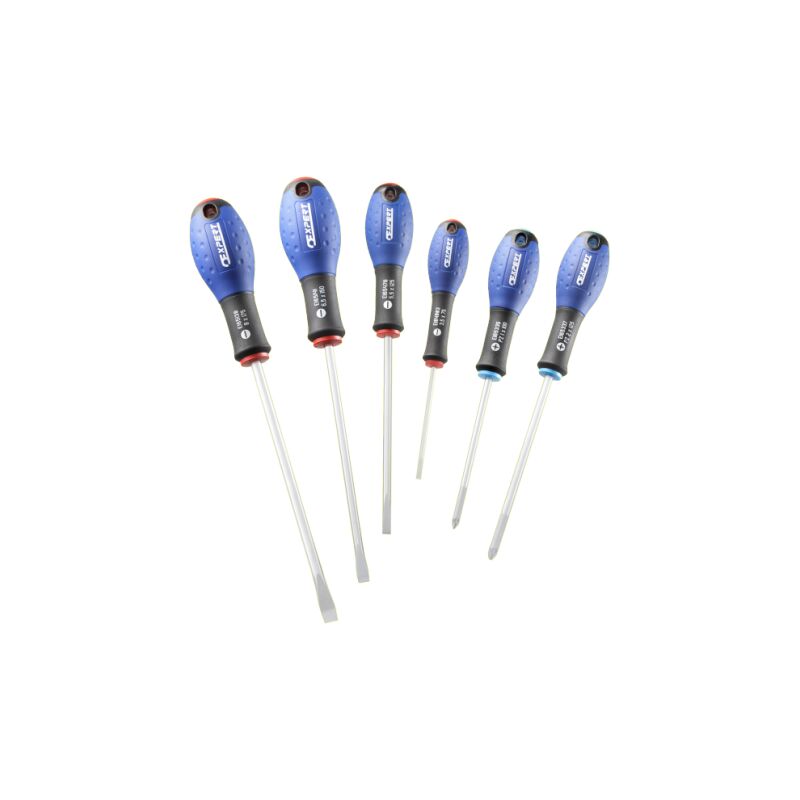 Image of Facom - Satz von 6 Schraubendrehern Schlitz/Pozidriv expert by E160903