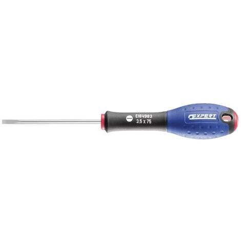 EXPERT BY FACOM TOURNEVIS AVEC SCHLITZPROFIL E160101