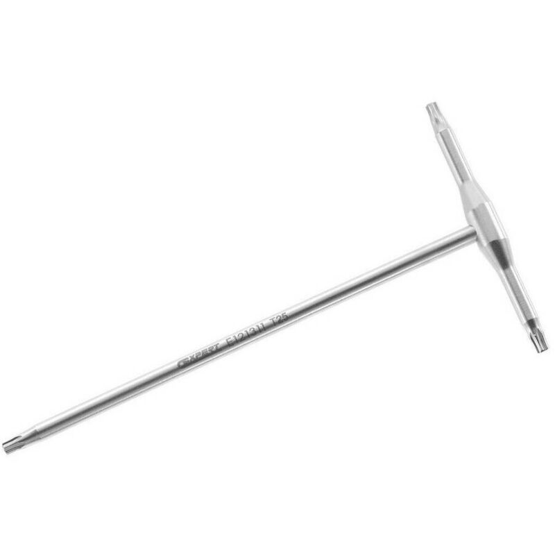 

EXPERT E121311 - Llave macho en 't' torx metal 25