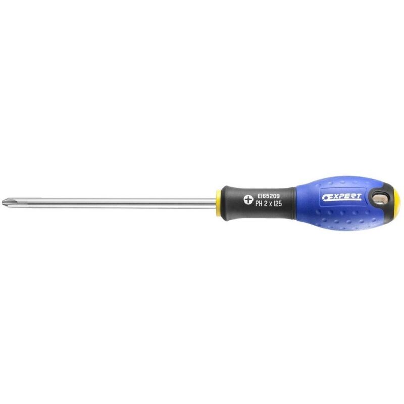 Tournevis Phillips PH2X125 E165209 Expert By Facom