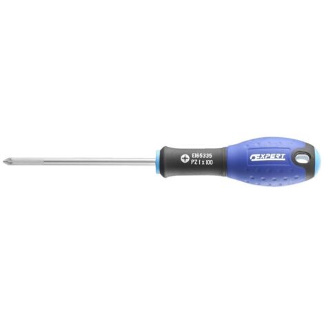 EXPERT E165335 - Destornillador pz1x100