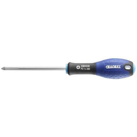 Expert SCREWDRIVER PZ1X100
