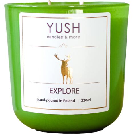 Explore - Vela arom谩tica de cera de soja con aroma a ciruela y grosella - Yush - 220 ml