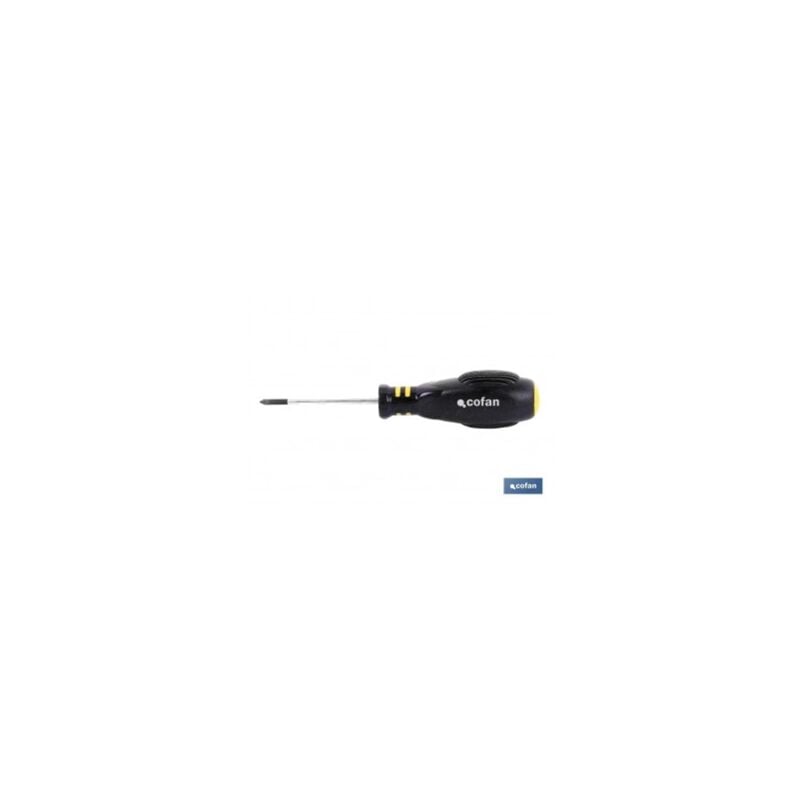 

Destornillador pozidrive pz 2 x 100