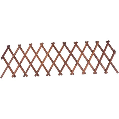 Extensible Bois Carbonis pour Plantes Grimpantes Support