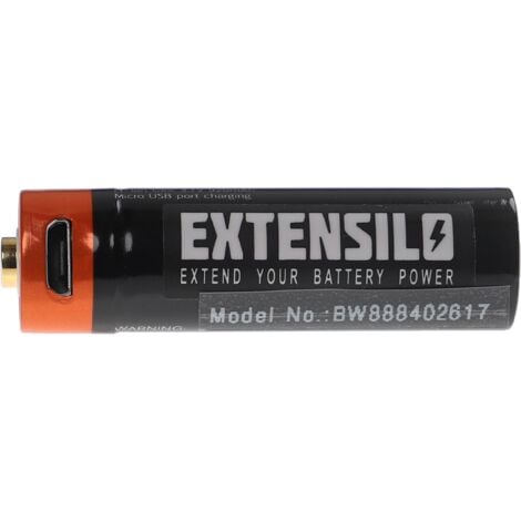 EXTENSILO Pile rechargeable AA mignon (AA) avec prise micro-USB (920mAh, 1,5V, Li-ion)