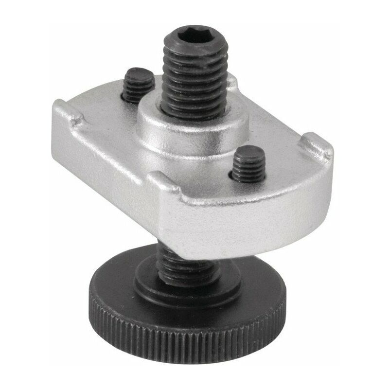 

Extensión de soporte N ° 6312S Rosca M20-L.69mm - AMF