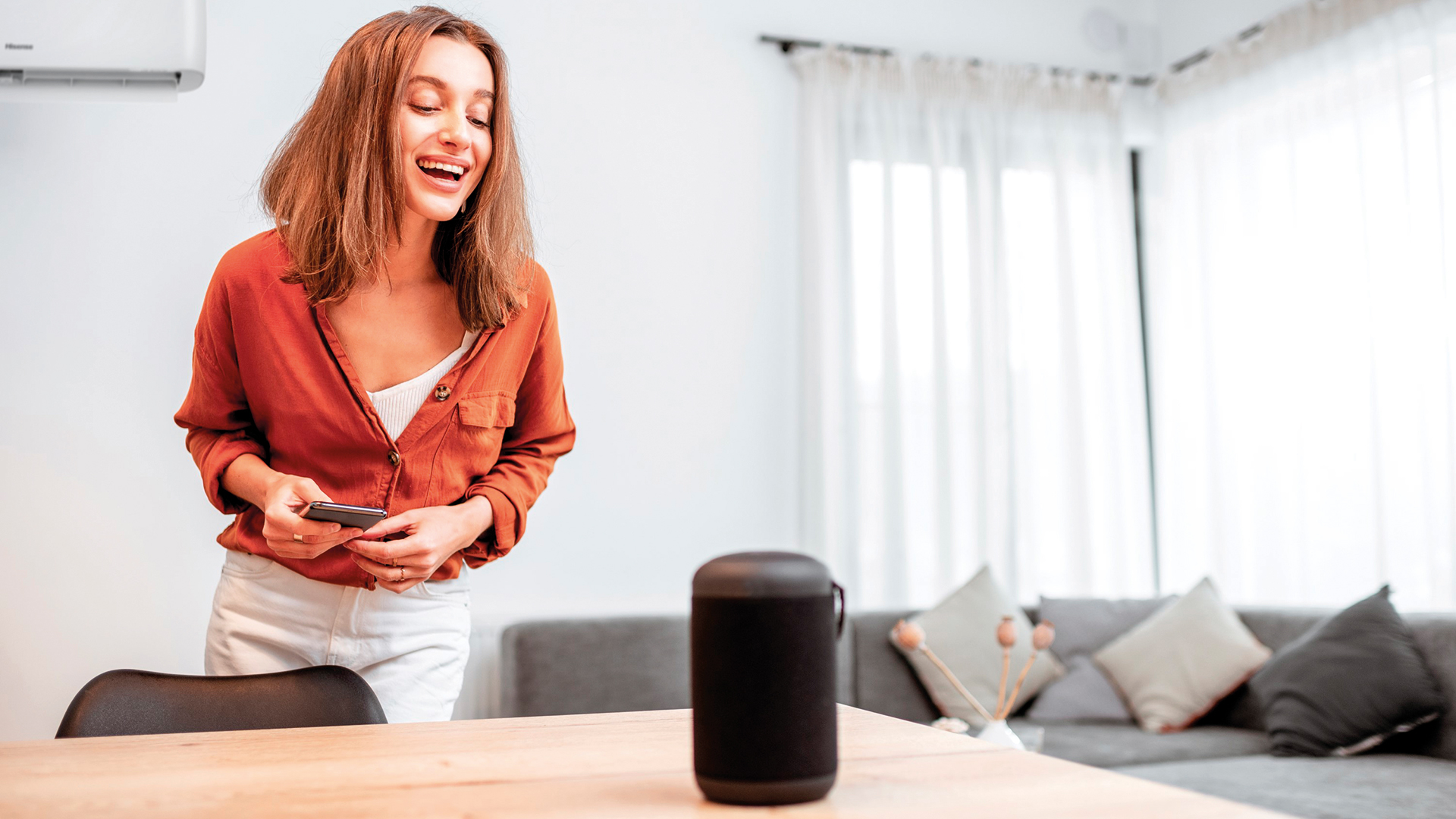 Controllo Smart Voice.jpg