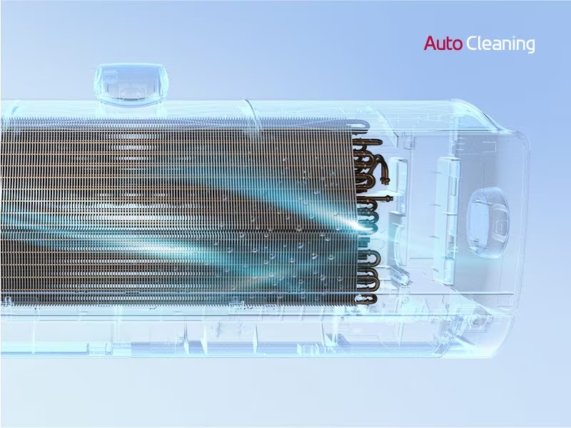 Auto Cleaning.jpg