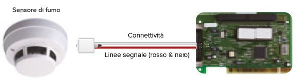 Hisense
