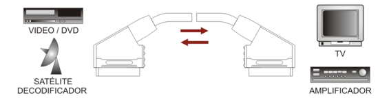 id_11259.png