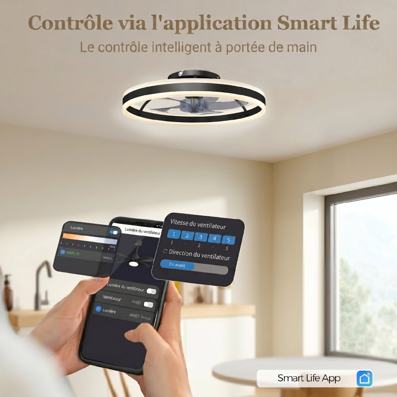 Ventilateur de plafond avec lumière et télécommande, plafonnier ventilateur 50 cm avec 6 vitesses, noir