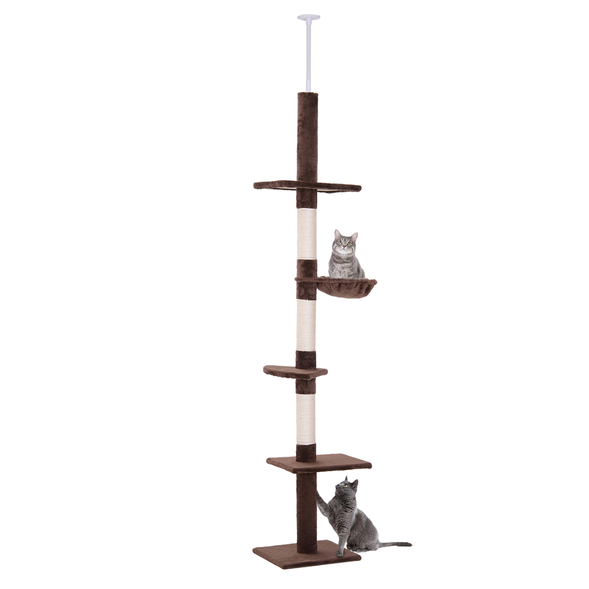 Arbre à chat du sol au plafond 230-260 cm. avec troncs en sisal et plateformes. pour petits et grands chats. marron