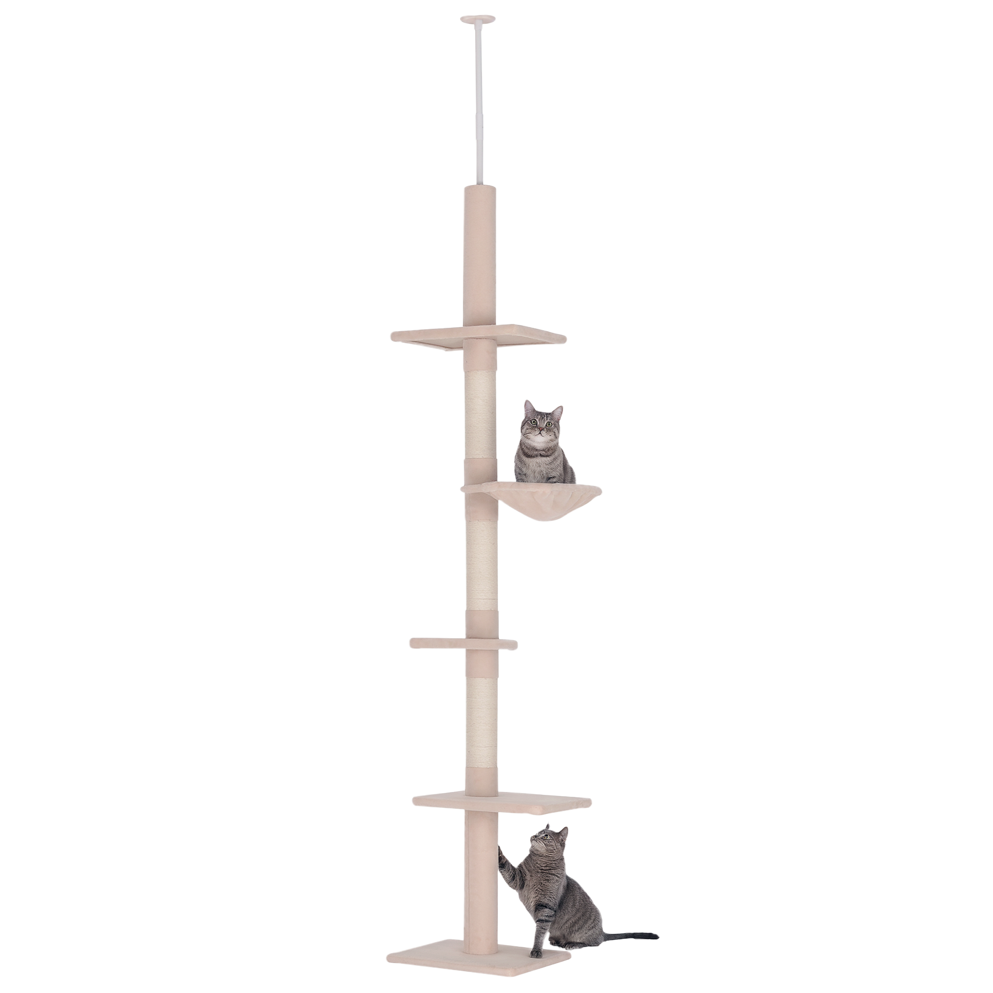 Arbre à chat du sol au plafond 230-260 cm. avec troncs en sisal et plateformes. pour petits et grands chats. beige
