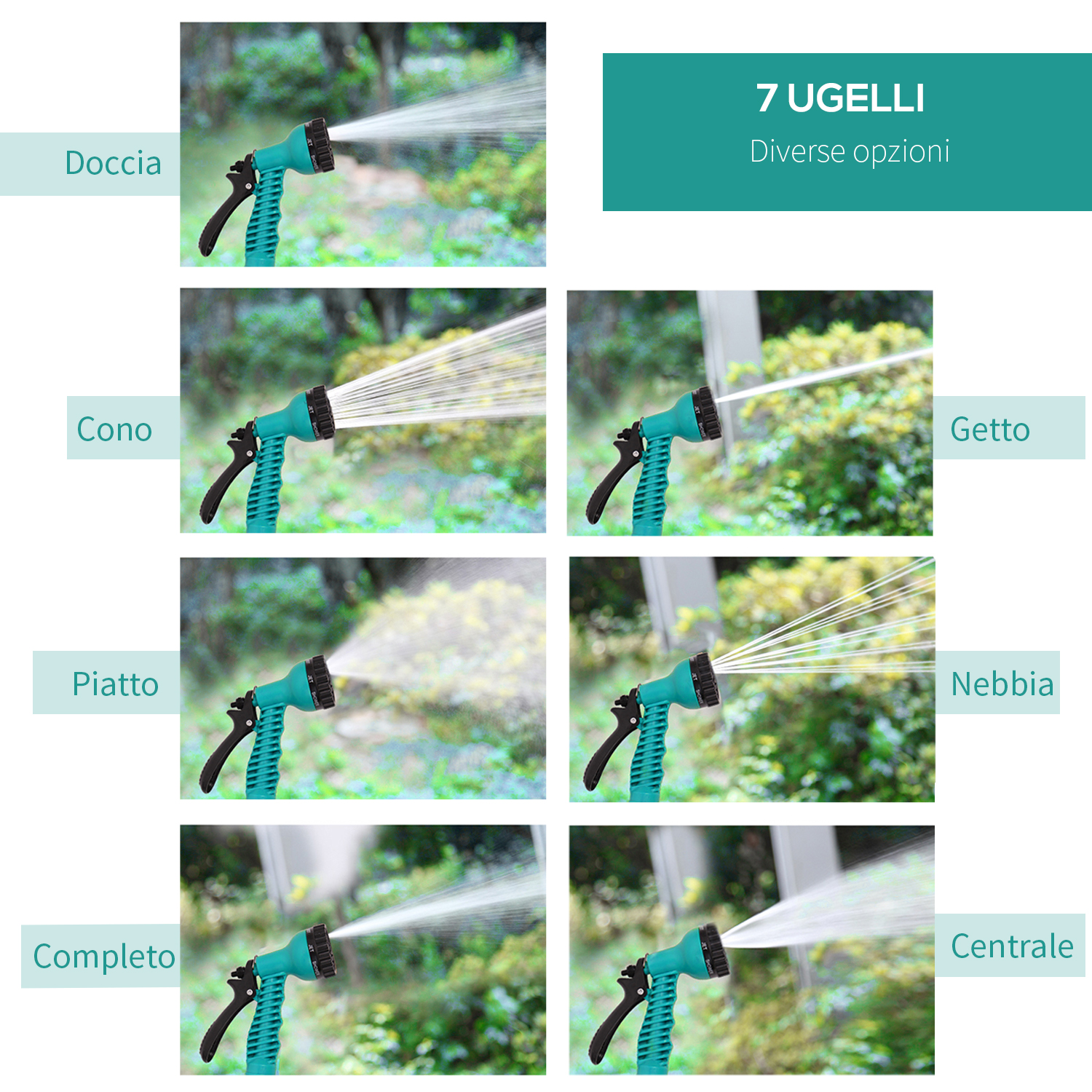 T1005-01-00466 image 1