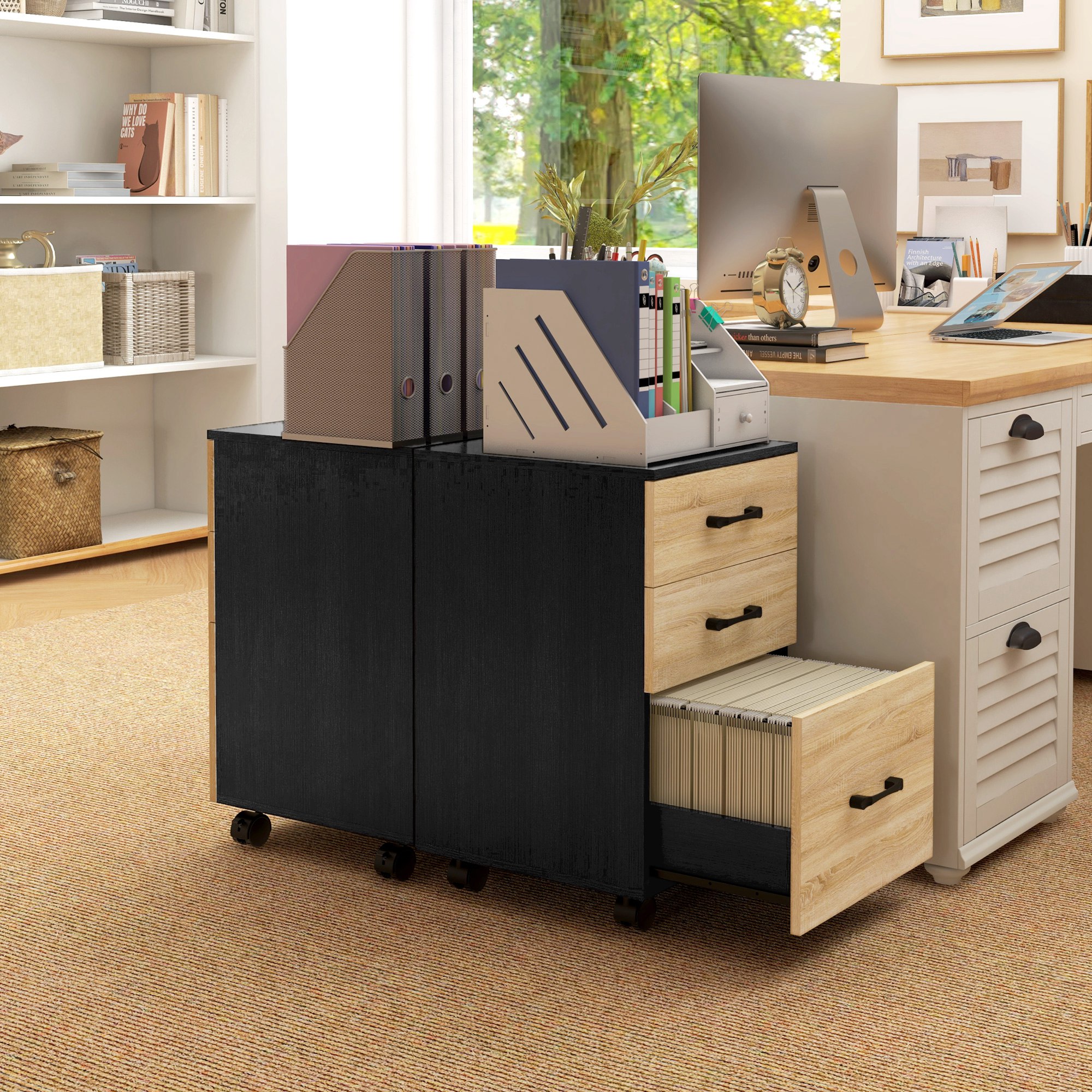 T1008-01-03091 image 5