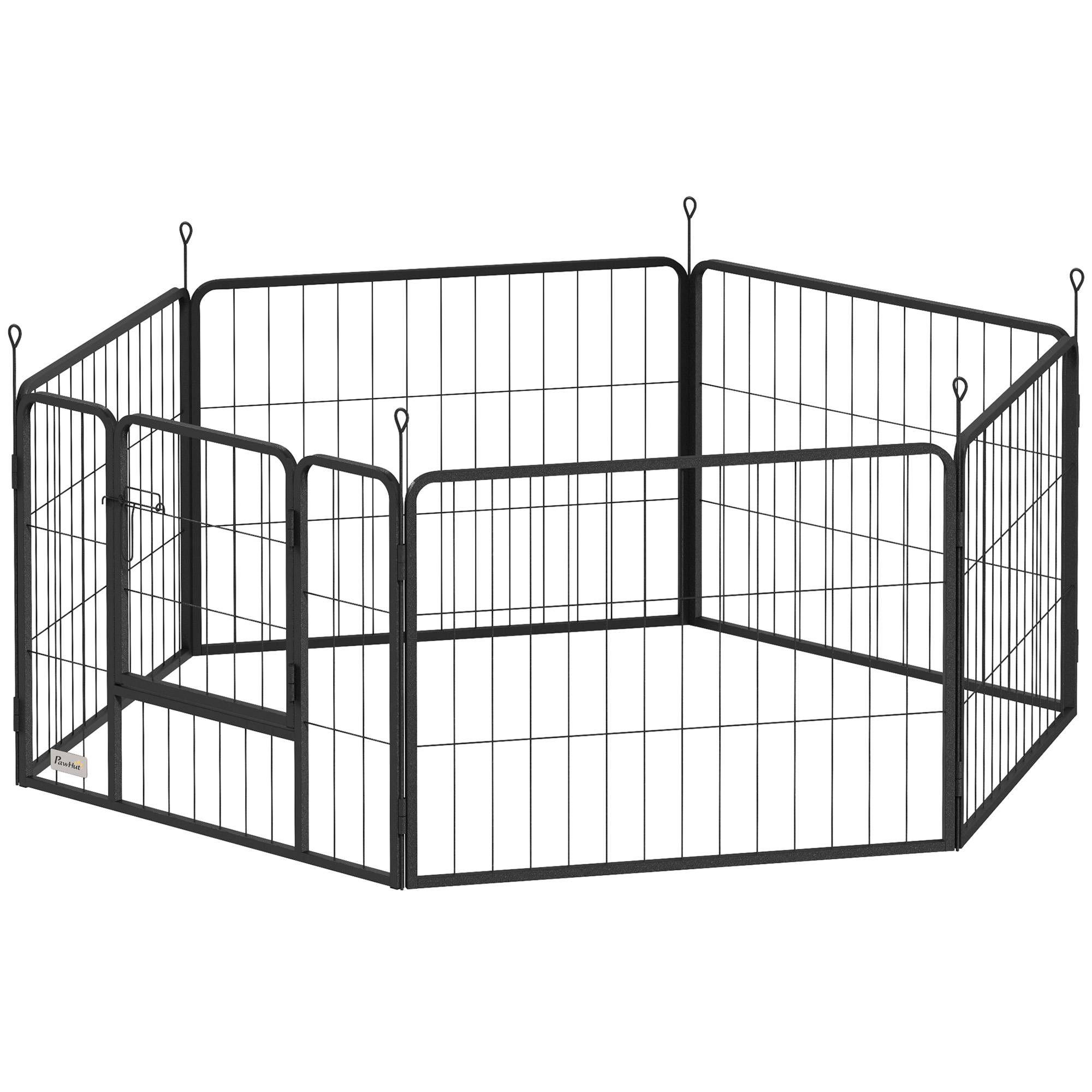 Parc dans le jardin avec un chien