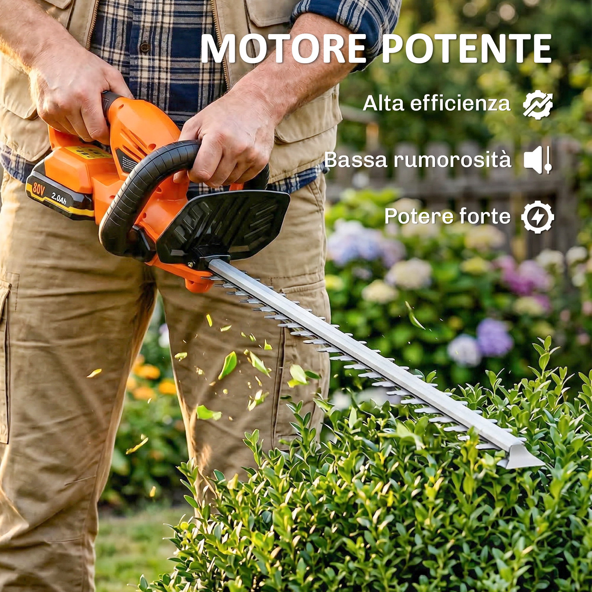 T1005-01-10924 image 1