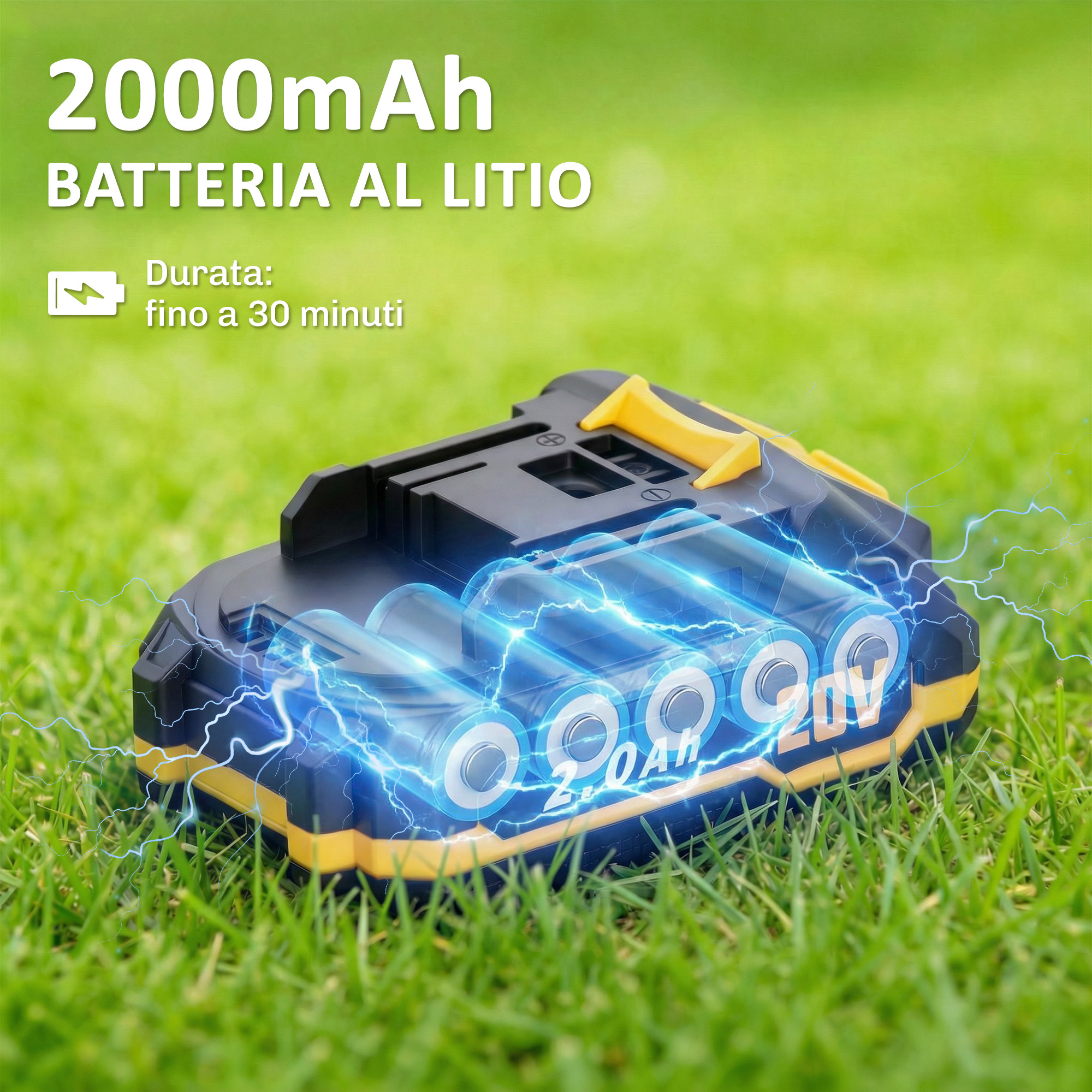 T1005-01-10924 image 2