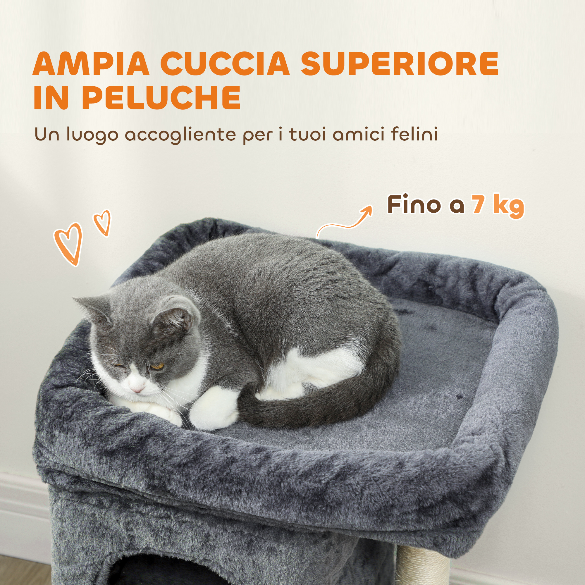 Tour à chat compacte avec 2 cabanes