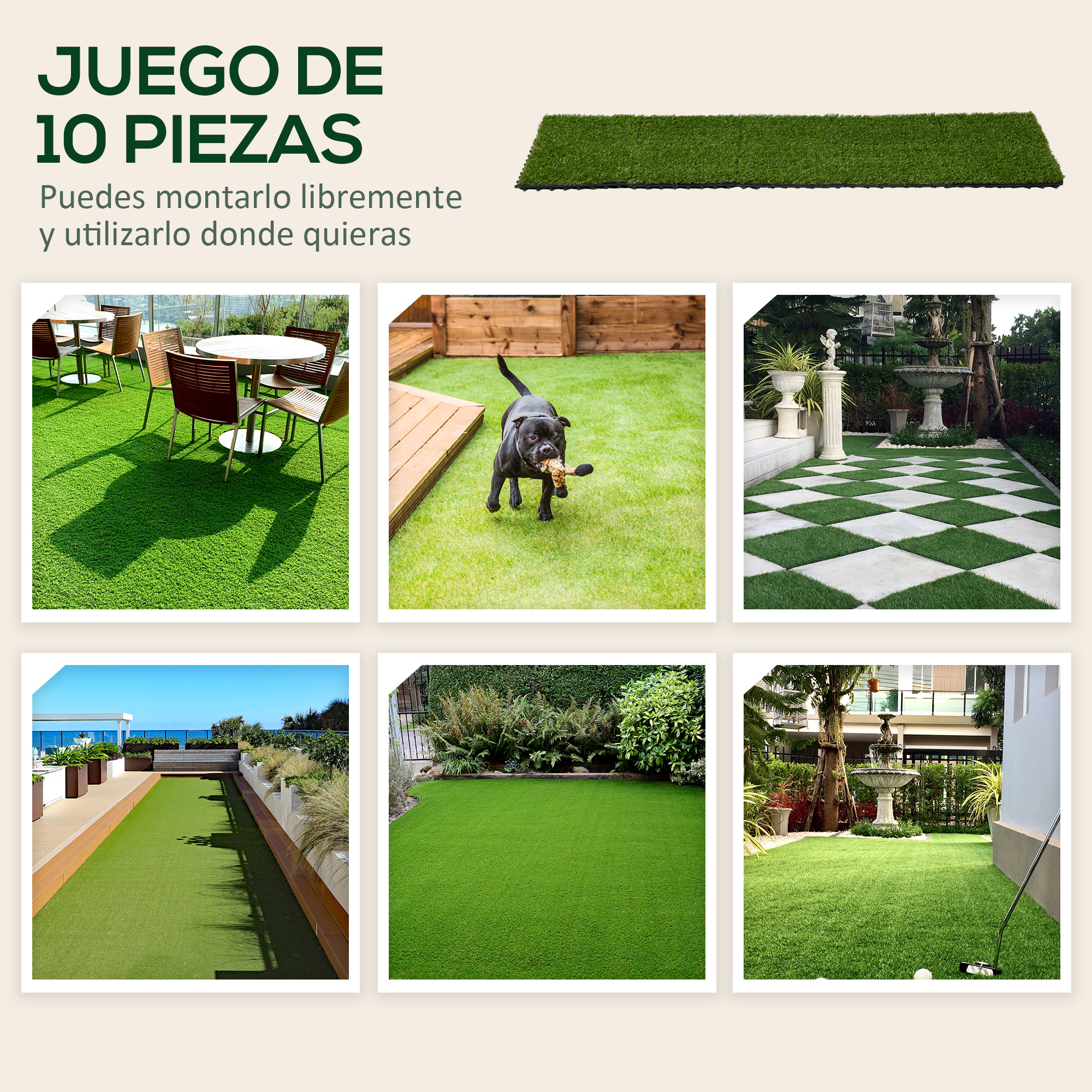 T1008-01-04423 image 4