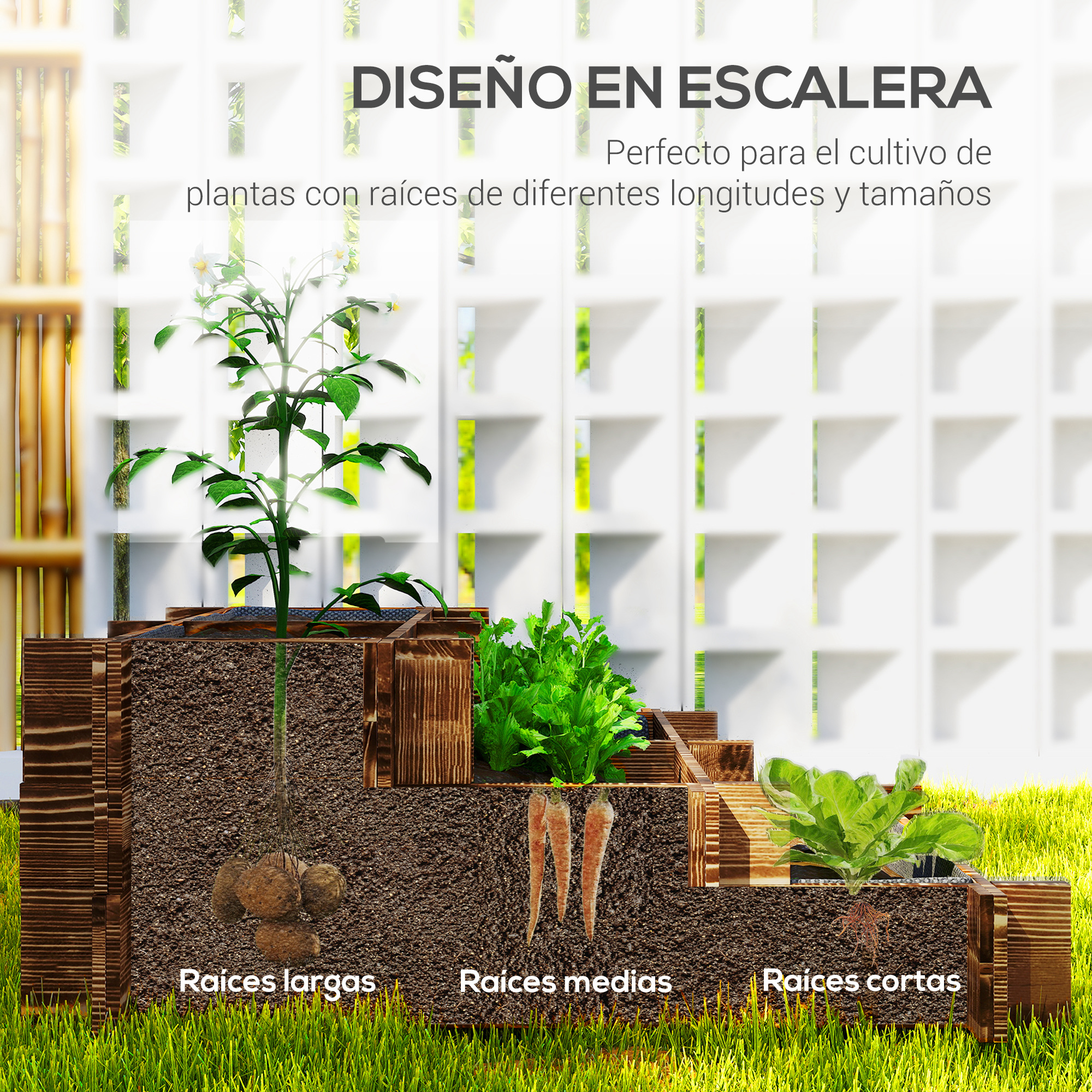 T1008-01-07604 image 2