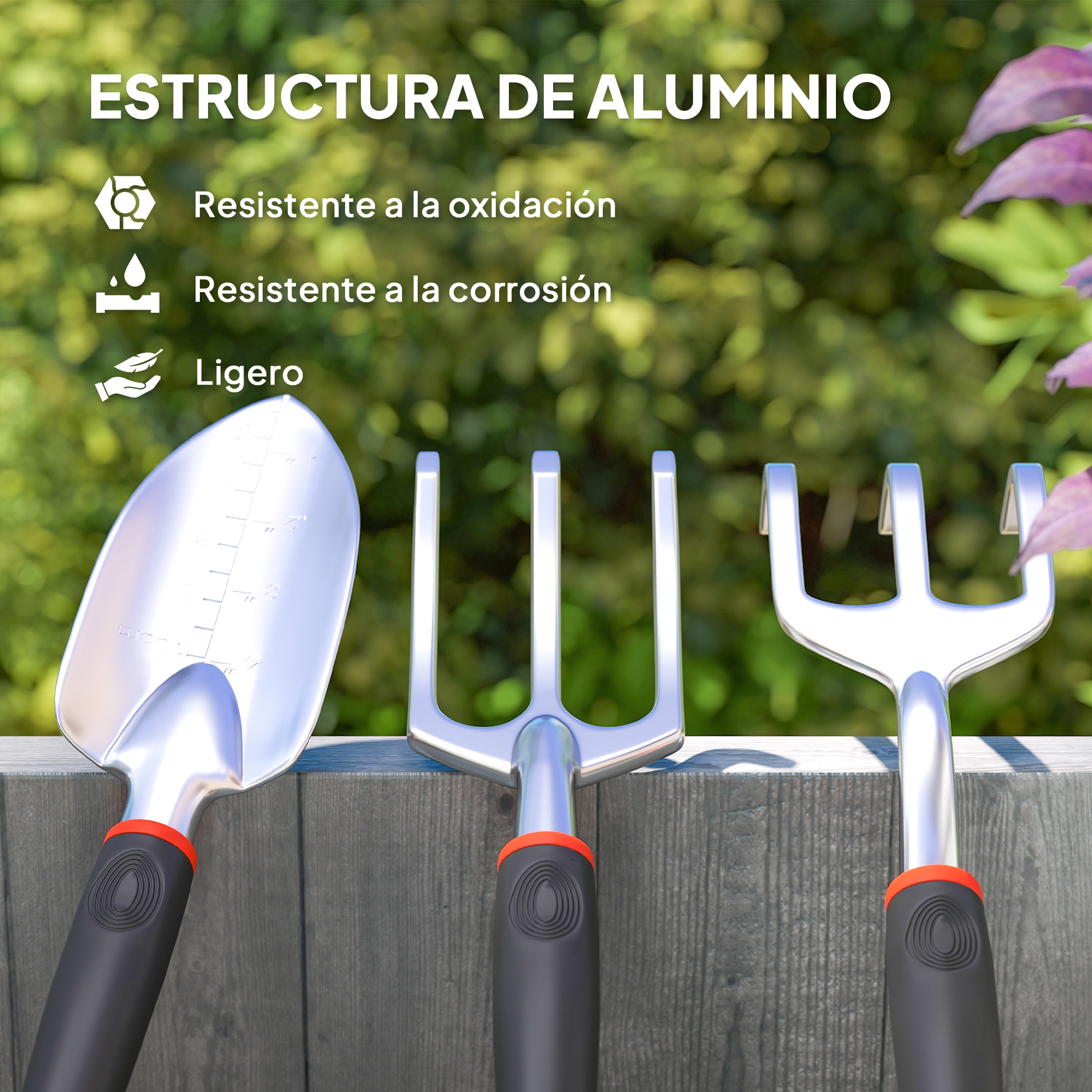 T1008-01-07397 image 1