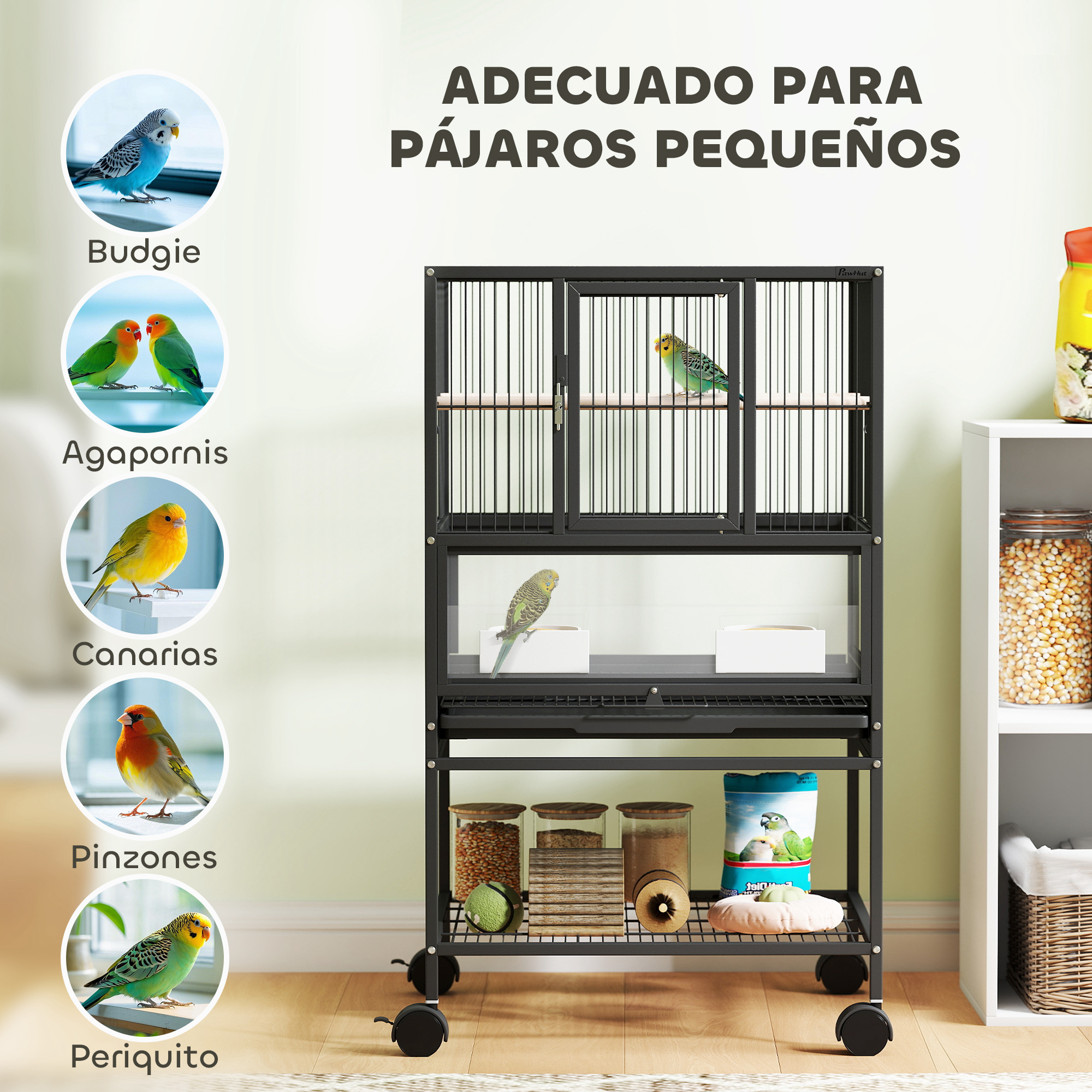 T1008-01-04874 image 5