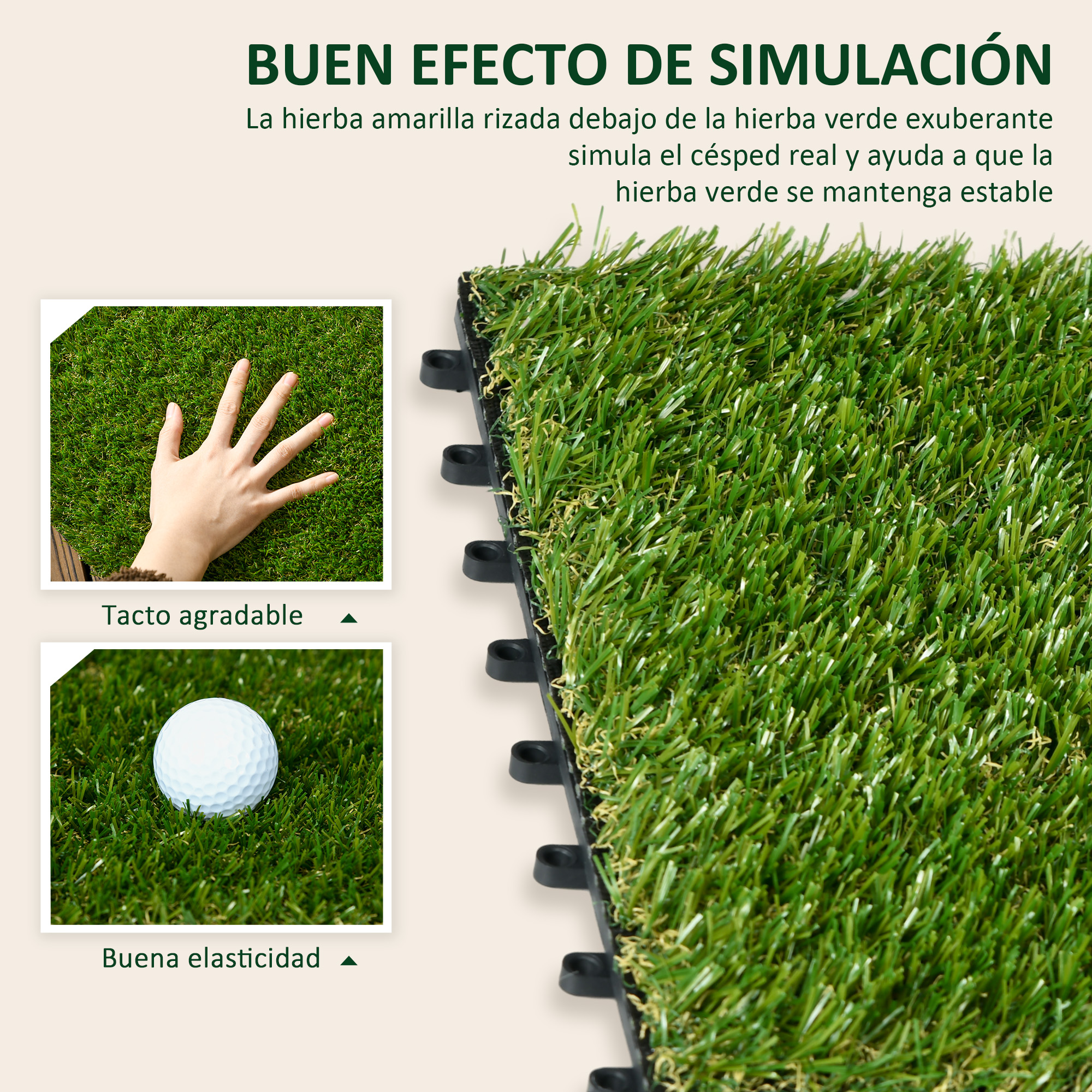 T1008-01-04423 image 1