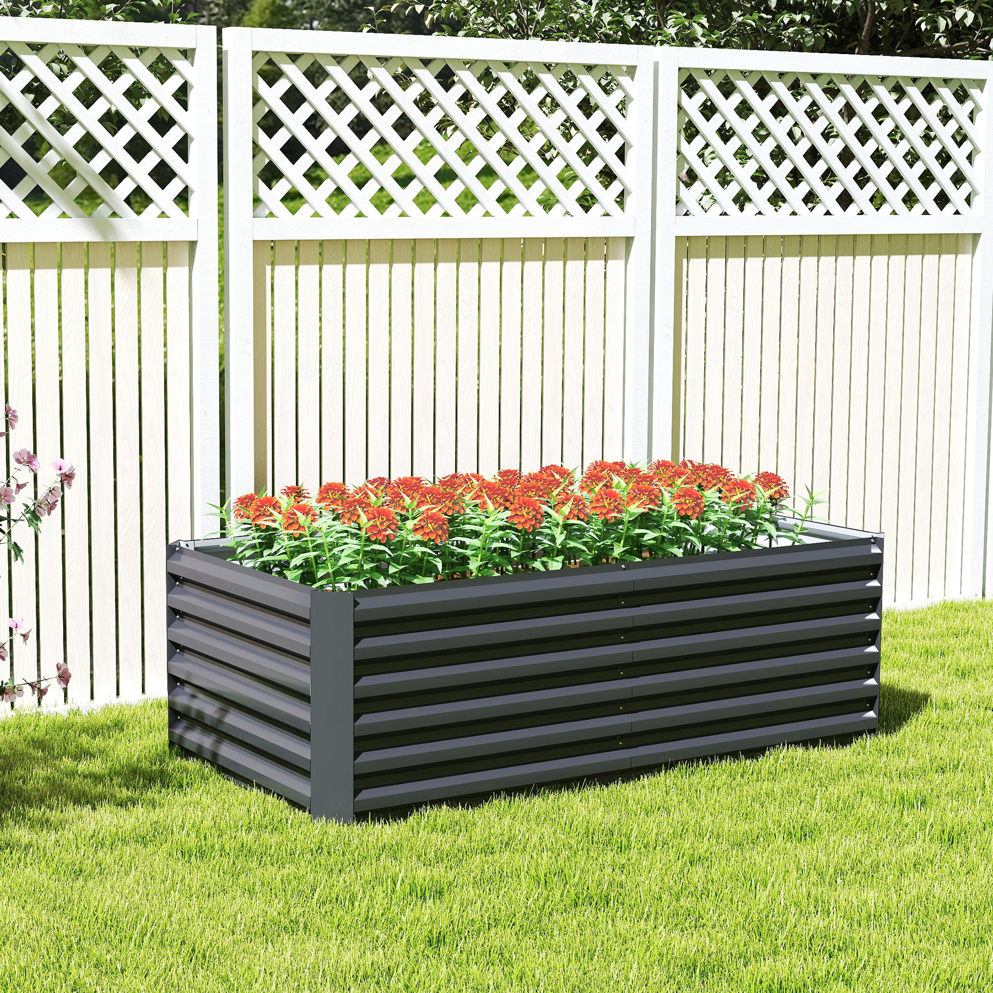 T1008-01-09762 image 6