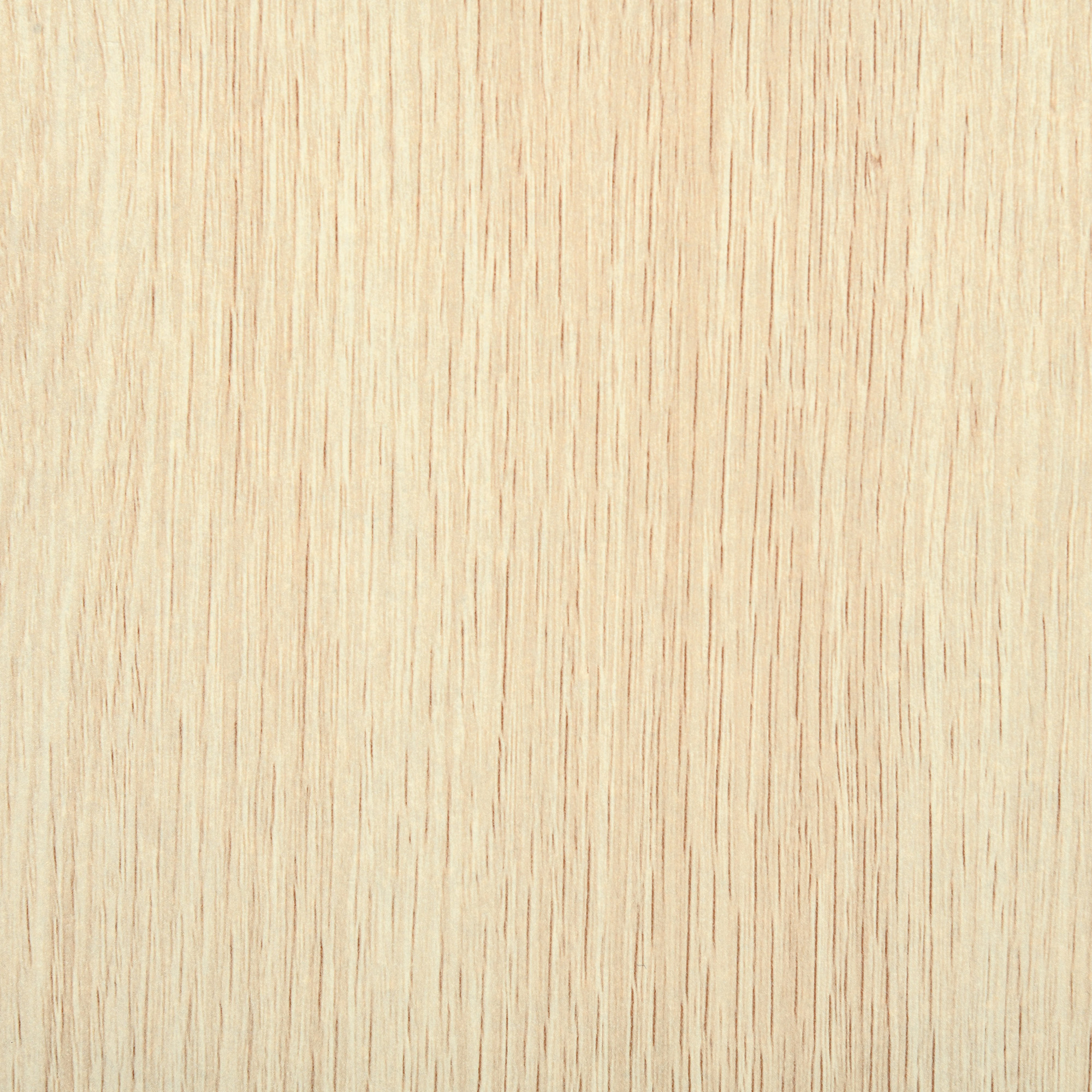 T1008-01-04797 image 6