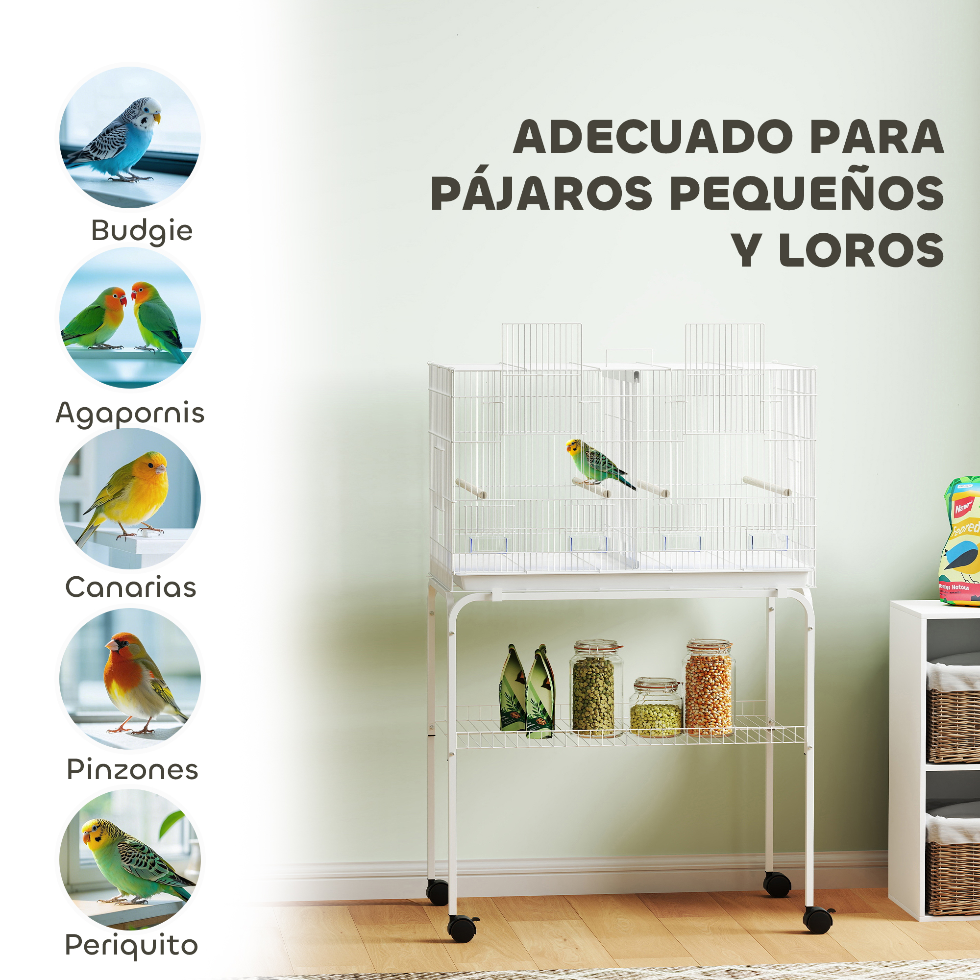T1008-01-04285 image 6