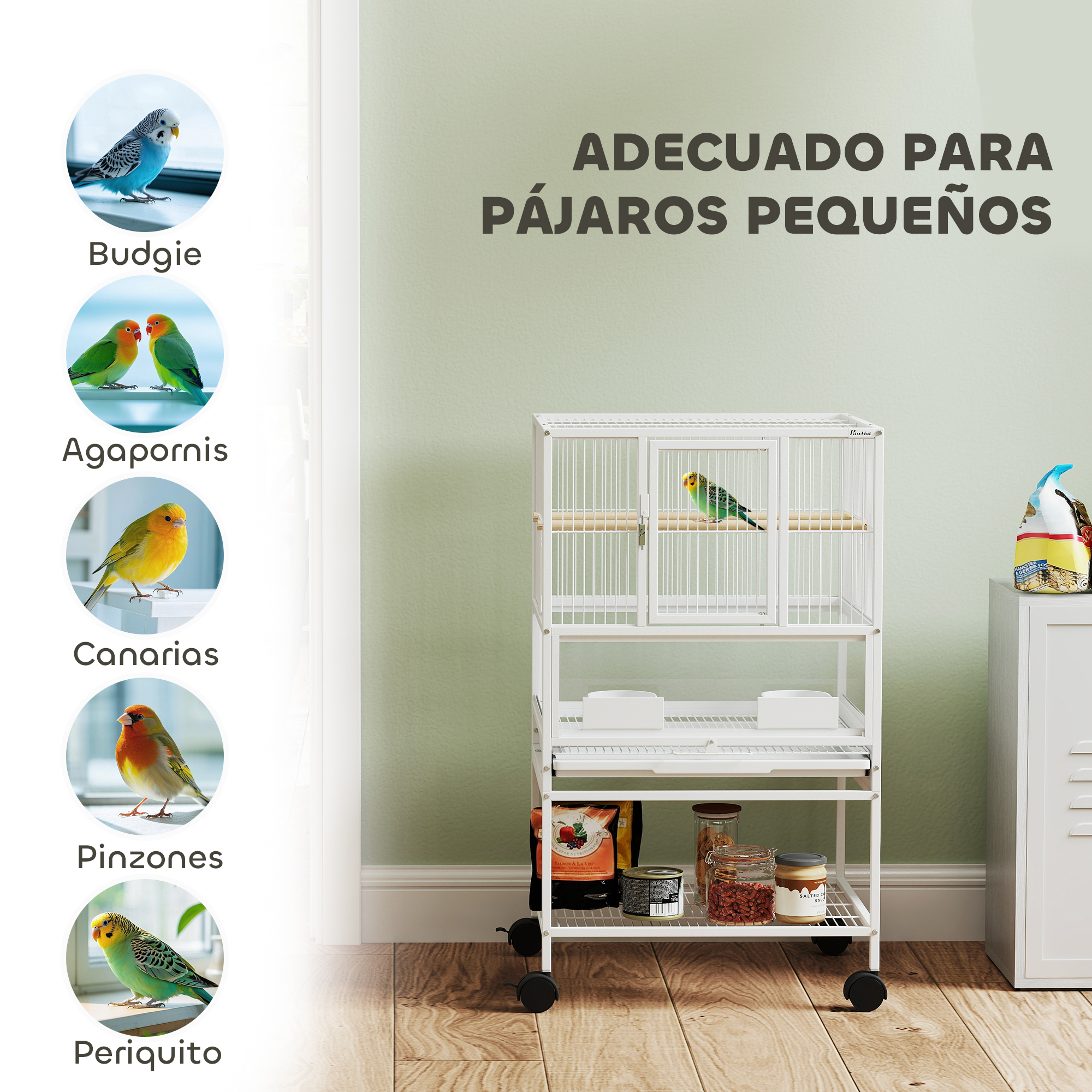 T1008-01-04872 image 5
