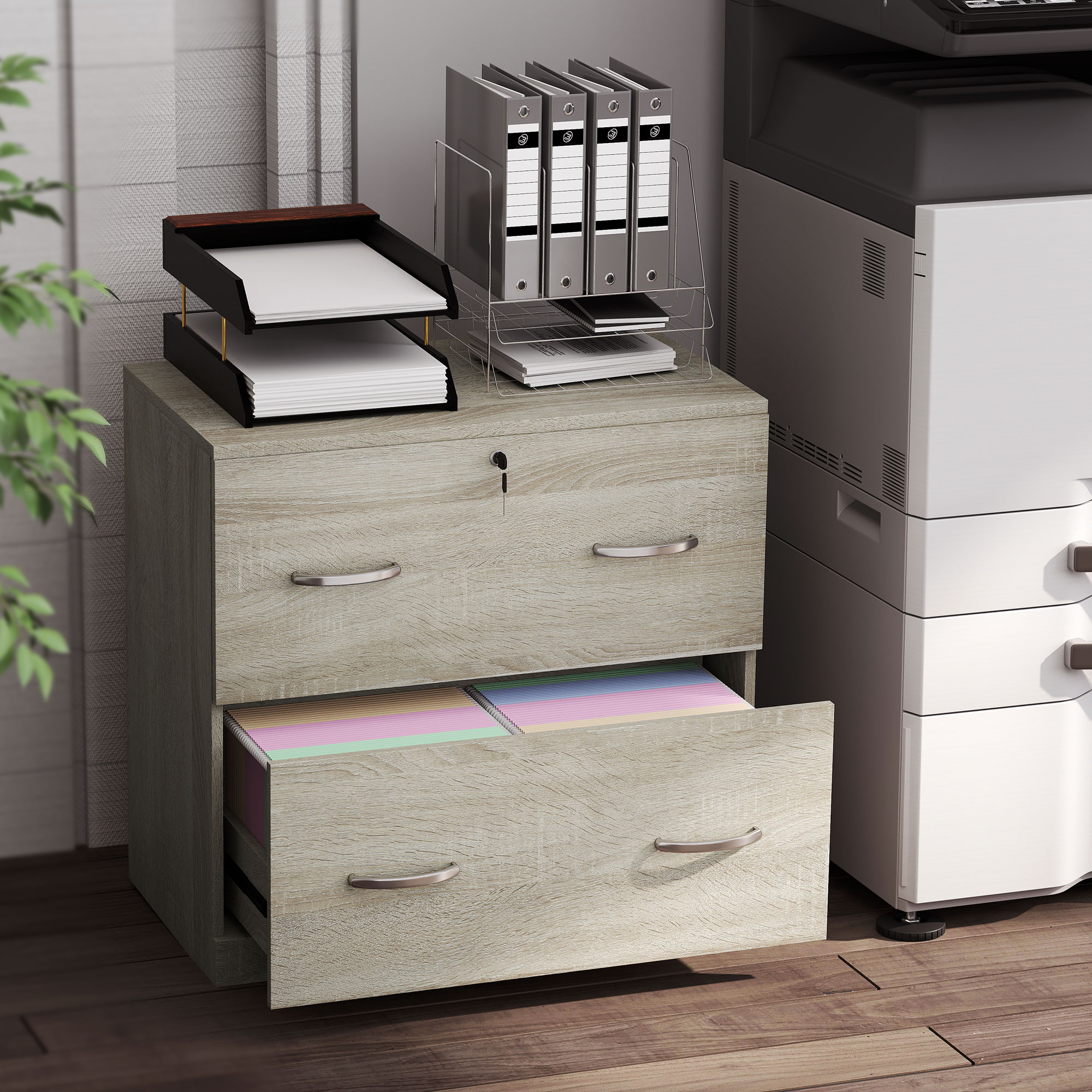 T1008-01-05253 image 5