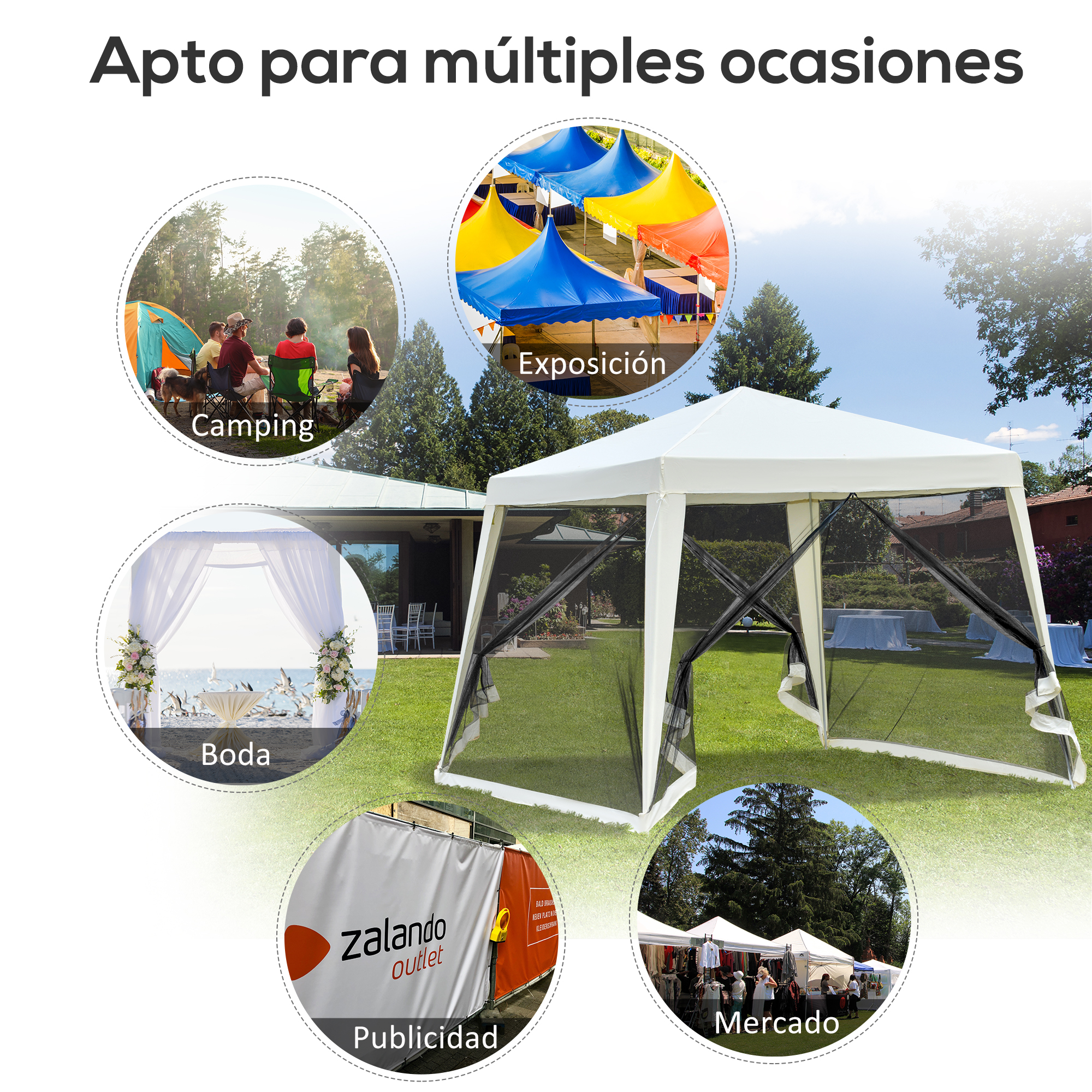 T1008-01-00873 image 4