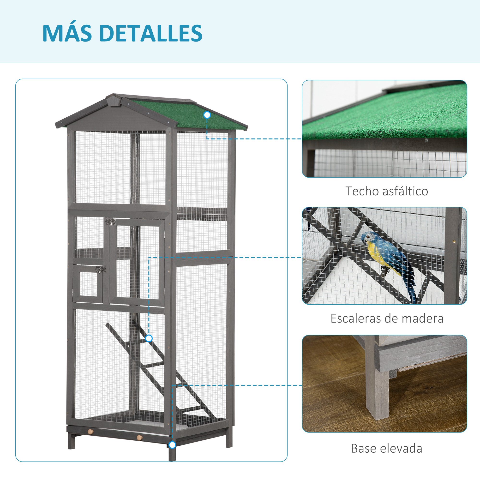T1008-01-08262 image 4