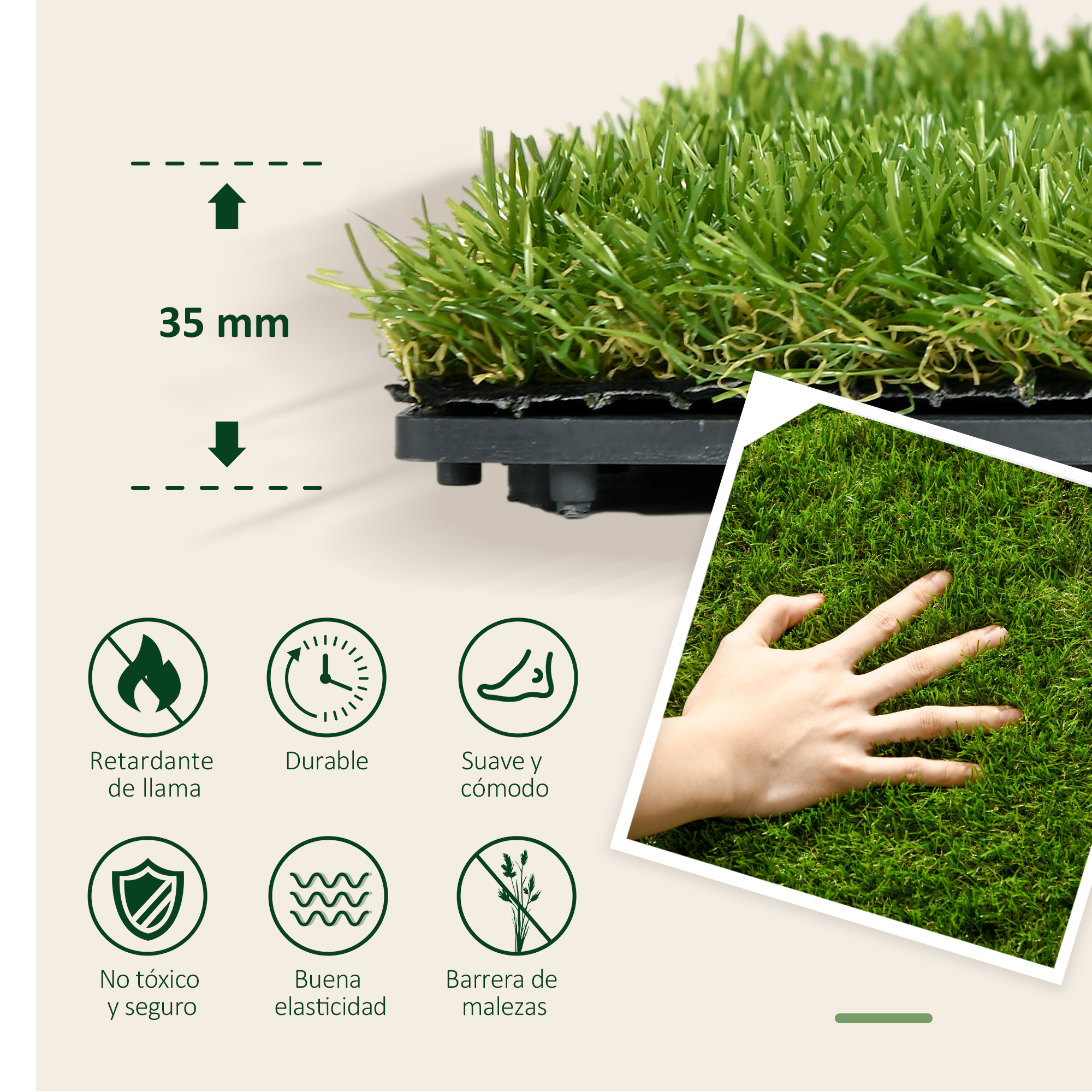 T1008-01-02684 image 1