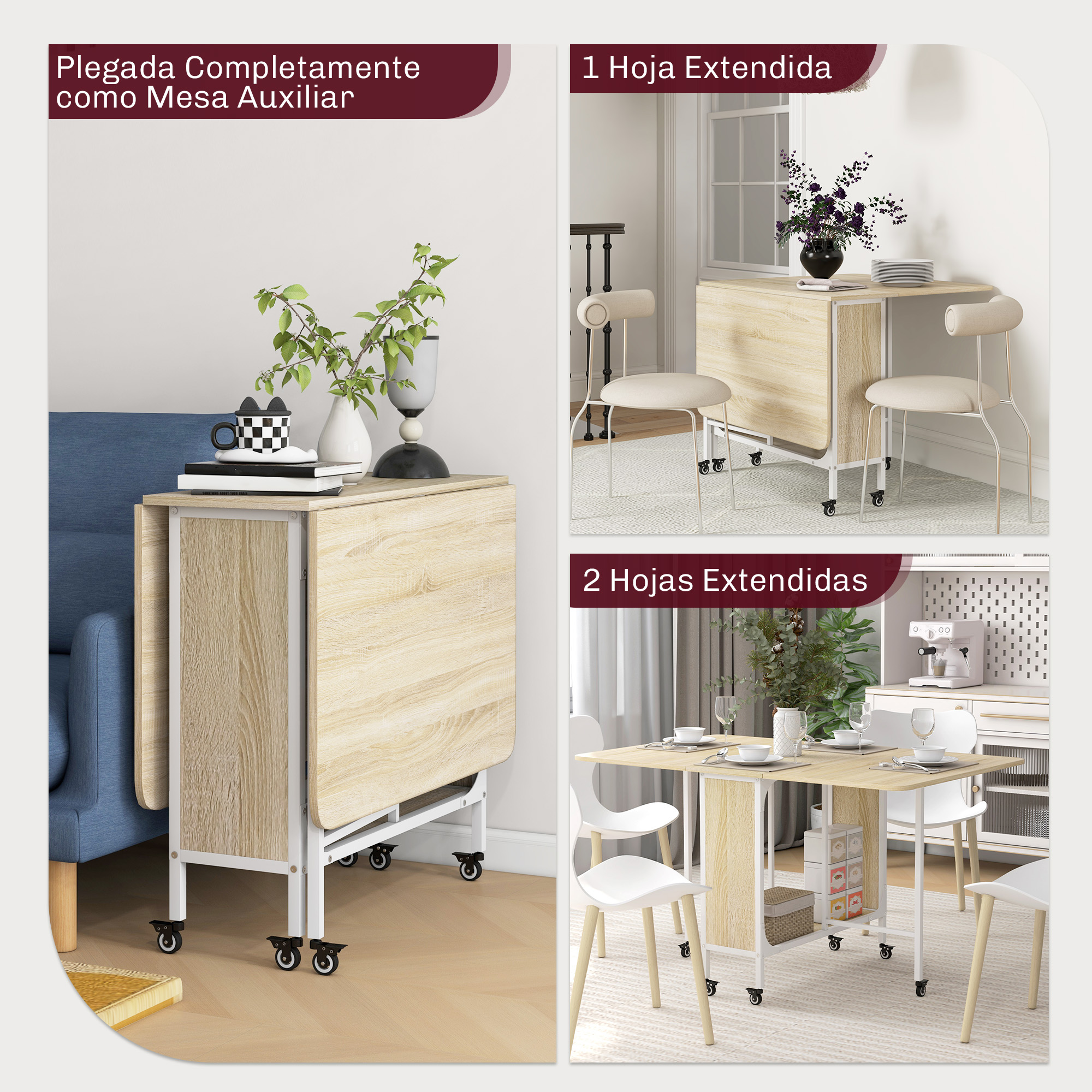 T1008-01-03815 image 1