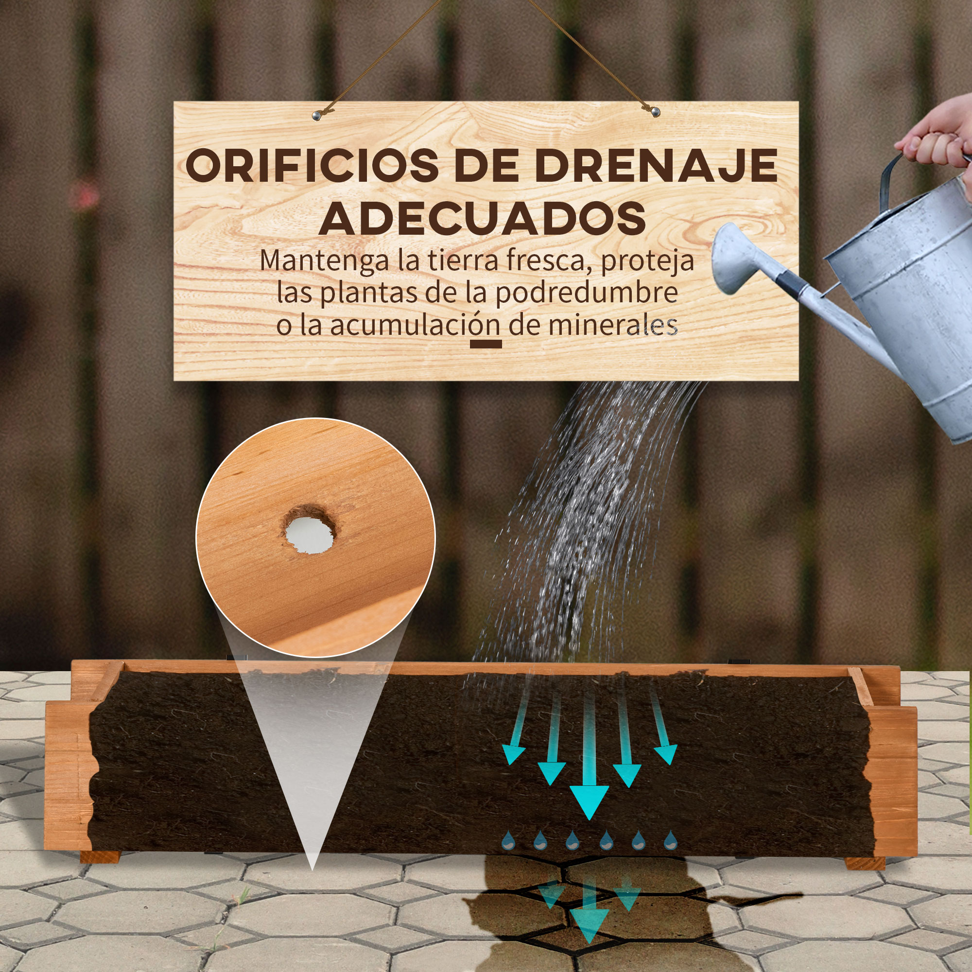 T1008-01-01935 image 2