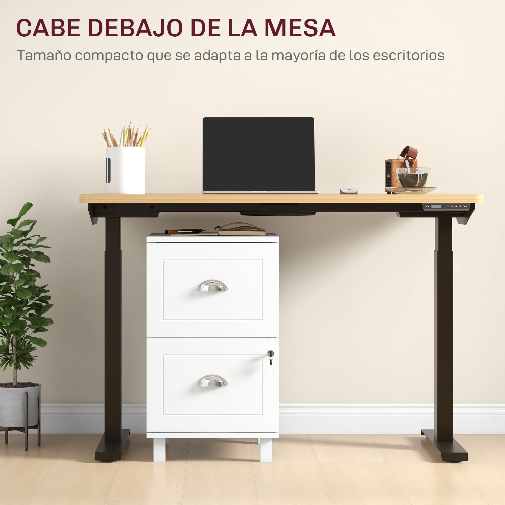 T1008-01-04777 image 5