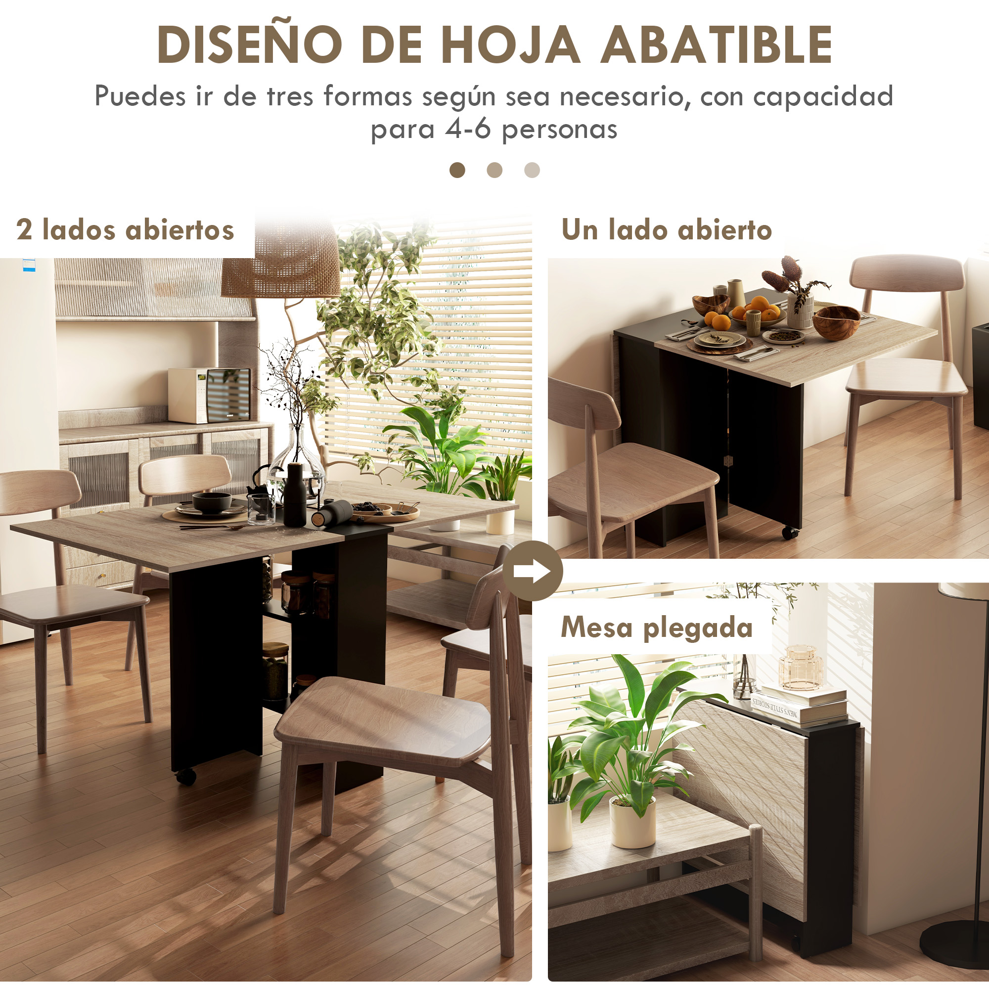 T1008-01-03826 image 1