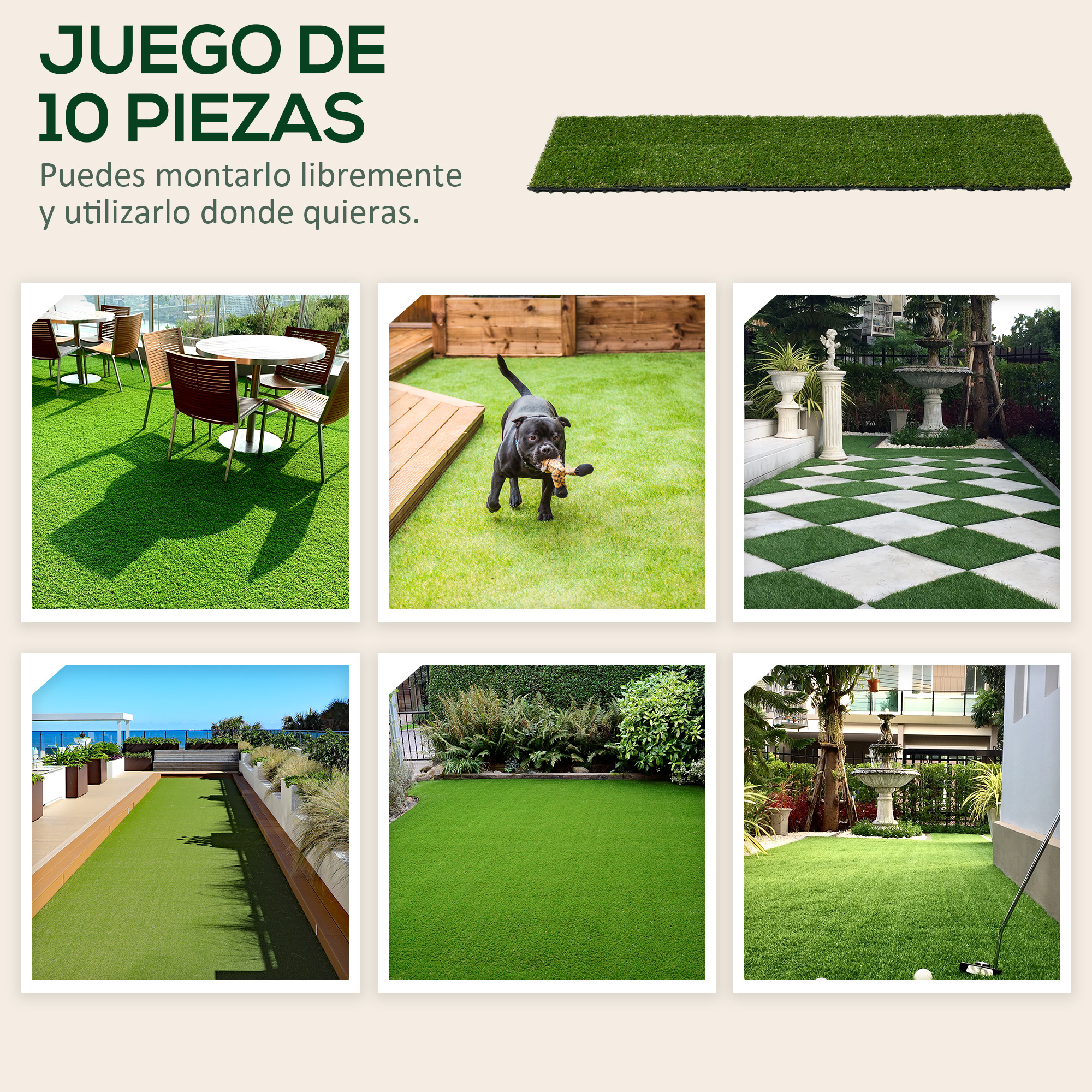 T1008-01-02683 image 4