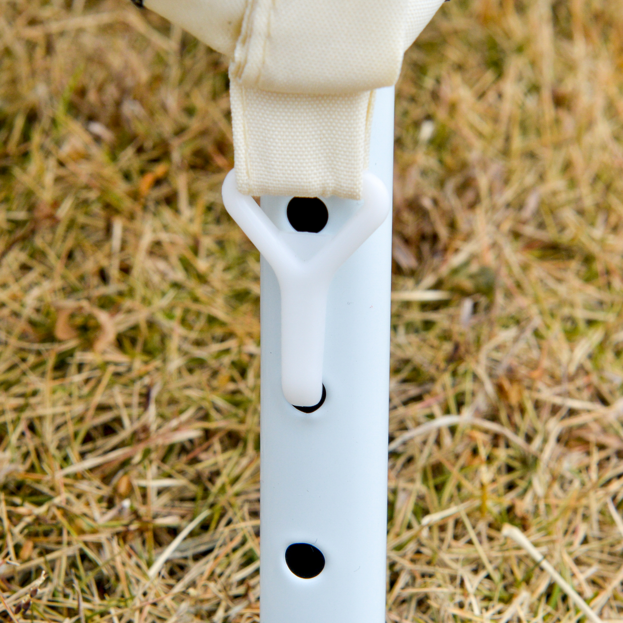 T1008-01-00873 image 6